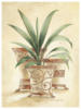 Схема вышивки «Пальма и вазы»