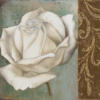 Схема вышивки «Белая роза 2»