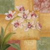 Схема вышивки «Подушка Орхидея 1»