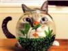 Котик и аквариум: оригинал