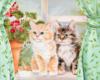 Схема вышивки «Милые котятки»