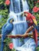 Папуги на водопаді: оригинал