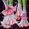 Схема вышивки «Подушка Екзотические цветы»