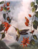 Колибри и цветы: оригинал