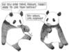 Ленивые панды: оригинал
