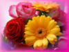 Схема вышивки «Букет из роз и хризантем»
