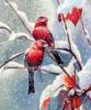 Птички невелички и зима: оригинал