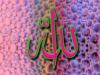 Схема вышивки «Аллах/2»