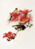 Схема вышивки «Птицы и Цветы»