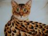 Схема вышивки «Леопардовый кот»