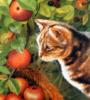 Кот и яблоки: оригинал