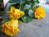 Схема вышивки «Желтые розы (мини)»