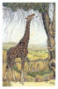 Схема вышивки «Giraf»