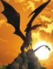 Дракон - символ 2012: оригинал
