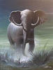 Elephant: оригинал