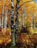 Схема вышивки «Осенний лес (часть1-левая)»