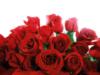 Схема вышивки «Красные розы на белом фоне»