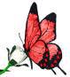 Схема вышивки «Бабочка на розе»