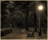 Парк в ночи: оригинал