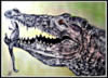 Схема вышивки «Crocodile»