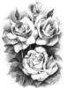Схема вышивки «Розы в карандаше»
