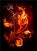 Схема вышивки «Огненный цветок 3 »