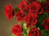 Схема вышивки «Красные розы любви»