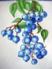 Схема вышивки «Blue Berries»