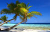 Схема вышивки «Пляж на багамах»