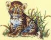 Схема вышивки «Голубоглазый тигрёнок»