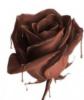 Схема вышивки «Шоколадная роза»