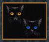Схема вышивки «На чёрном фоне котик»