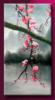 Схема вышивки «Сакура цветущая левая сторона»
