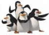 Пингвины из мадагаскара: оригинал