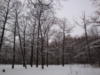 Схема вышивки «Зима в лесу»
