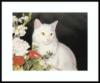 Схема вышивки «Картины с кошками от Дрю Страбл»