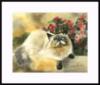 Схема вышивки «Картины с кошками от Дрю Страбл»