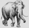 Схема вышивки «Красивый слон)»