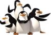 Пингвины Мадагаскара: оригинал