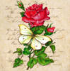 Схема вышивки «Подушка Роза и Бабочка»