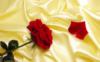 Схема вышивки «Красная роза»