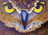 Схема вышивки «Owl»