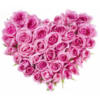 Схема вышивки «Сердечко из розовых роз)»