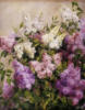 Схема вышивки «Lilac. Пономаренко А.»