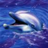 Сказочный дельфинёнок): оригинал