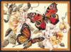 Схема вышивки «Две бабочки и пионы»