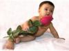 Схема вышивки «Малыш с розой»