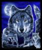 Схема вышивки «Стая волков»