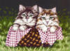 Схема вышивки «кошки в лукошке»