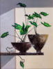 Схема вышивки «Зеленые листья в вазах»